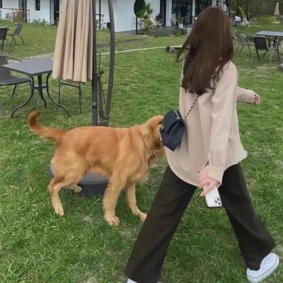 奥运梦